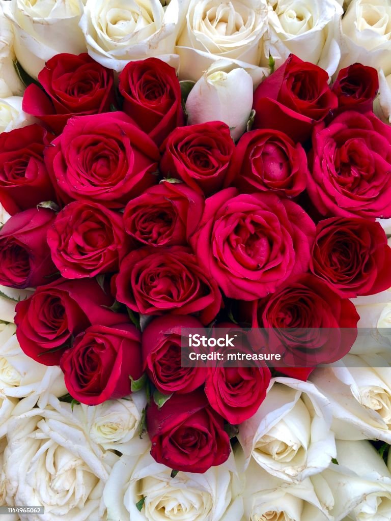 Image Of Flat Red Rose Heart Shape Flowers Box Romantic Floral Arrangement  With White And Red Roses Heart Shaped Romantic Photo For Valentines Day Love  Theme Stock Photo - Download Image Now -