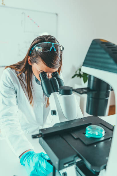 istock Young Woman Working In Laboratory 1144966286
