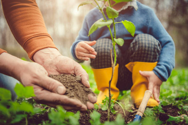 Family planting tree on Arbor day in spring Little boy and his father gardening in spring planting stock pictures, royalty-free photos & images