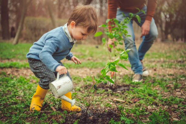 Family watering tree while gardening on Arbor day in springtime Little boy and his father gardening in spring watering can photos stock pictures, royalty-free photos & images