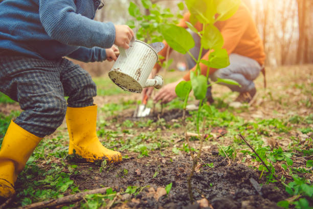 istock Family watering tree while gardening on Arbor day in spring 1144977089