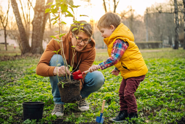 istock Father and son planting tree on Arbor day in springtime 1144977249