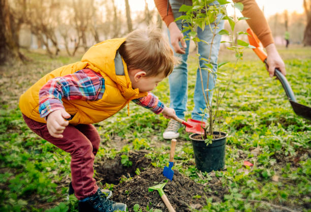 istock Family planting tree on Arbor day in springtime 1144977265