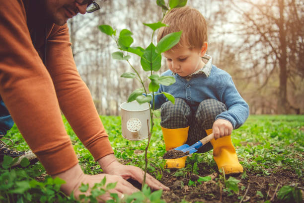 Family planting tree on Arbor day in springtime Little boy and his father gardening in spring environmentalist photos stock pictures, royalty-free photos & images