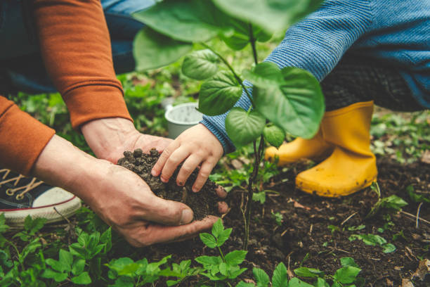 istock Family planting tree on Arbor day in springtime 1144977375