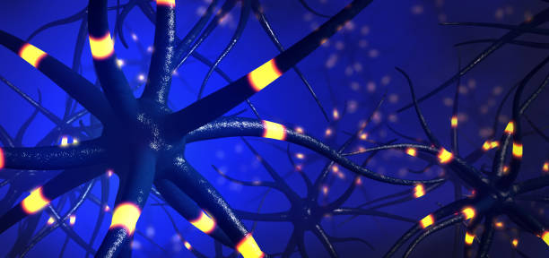 istock Closeup on transmitting brain cells or neuron - 3d illustration 1144980363