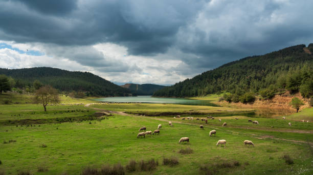 istock Demirtas Dam, Bursa - Turkey 1144982600