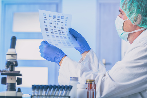 Scientist analizing DNA sequence in the modern laboratory