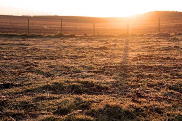The sun rises on a gorgeous Spring morning, over a frosty paddock.