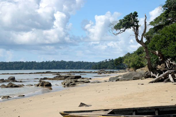 istock Beautiful island & beach in Amazing Andaman 1144986304