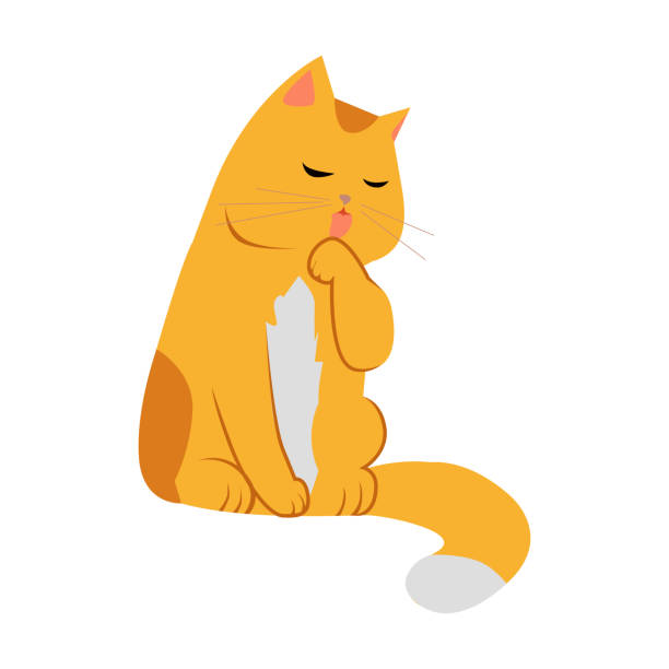 Cute Cartoon Cat Cute cartoon orange cat. The orange cat washes, licks a paw. Cat is washing itself. Cat icon. Pet icon. Isolated vector illustration on white background paw licking domestic animals stock illustrations