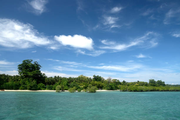 istock Beautiful island & beach in Amazing Andaman 1144987675