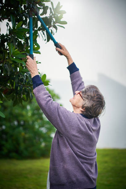 istock Elderly lady gardening 1144987868