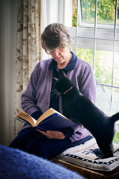 istock Elderly lady reads with cat 1144987893
