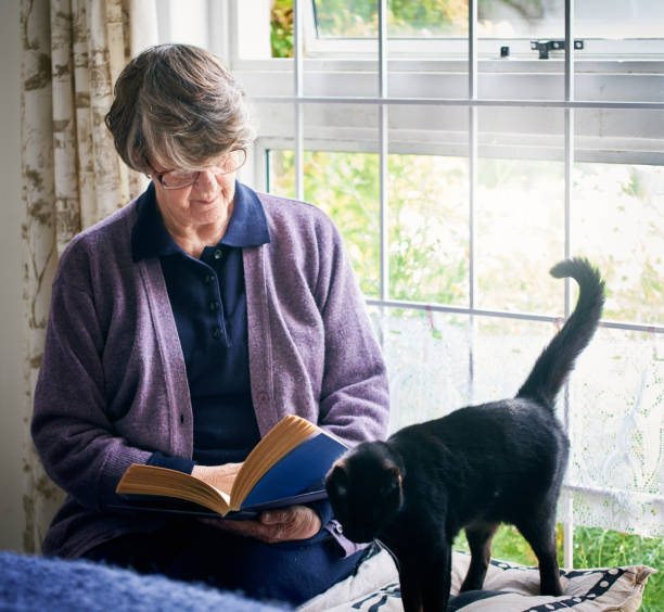 istock Elderly lady reads with cat 1144987907