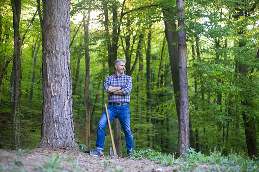 Lumberjack in a forest, holding an axe. About 50 years old, Caucasian male.