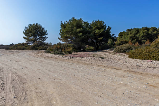 istock Beach at Possidi Cape, Kassandra Peninsula, Chalkidiki, Central Macedonia, Greece 1144990518