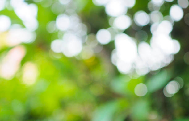 istock Abstract green bokeh background for nature decoration 1144990718