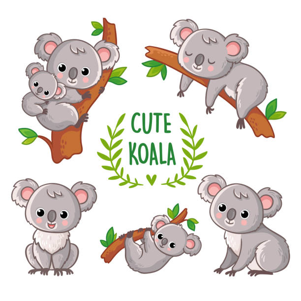 illustrations, cliparts, dessins animés et icônes de illustration de vecteur avec le koala dans diverses poses. - koala australia cute animal