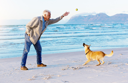 A senior man plays with his dog on a beautiful beach, throwing a tennis ball for it to retrieve.