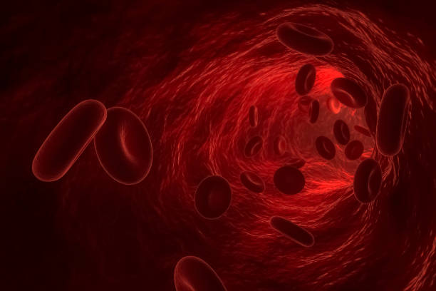 3d renderowania czerwonych krwinek lub ciałka płynącego w naczyniu krwionośnym. - red blood cell obrazy zdjęcia i obrazy z banku zdjęć