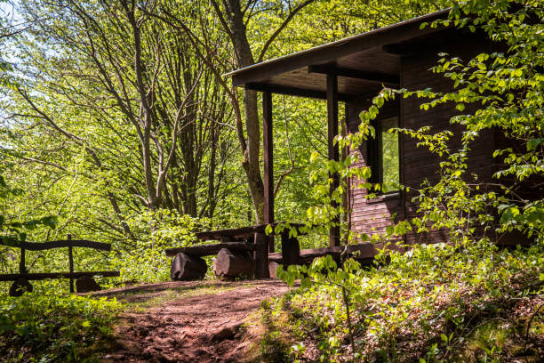 istock Small cottage in the forest in spring 1144995373