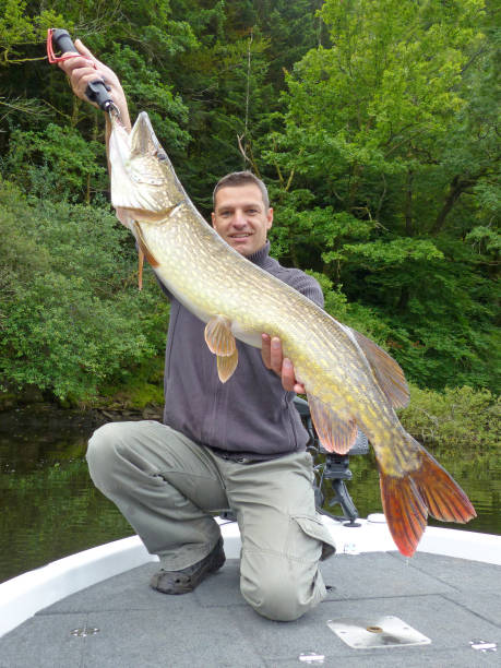 istock Pike fishing 1144995600