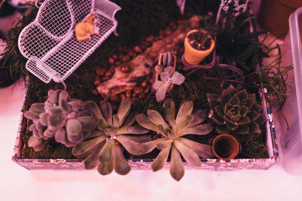 istock Plants in the flower laboratory 1144996174