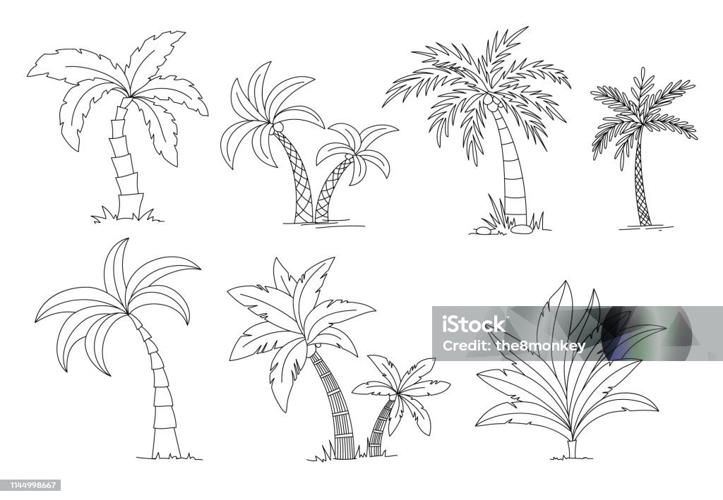 Palm trees coloring book. Beautiful vectro palma tree set vector illustration Palm trees coloring book. Beautiful vectro palma tree set vector illustration. Palm Tree stock vector