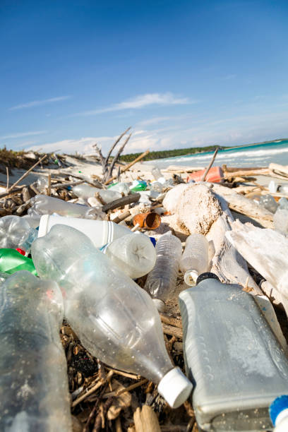 istock Ocean Dumping - Total pollution on a Tropical beach 1145000275