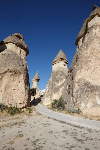 istock Famous stone mushrooms. Cappadocia 1145001782