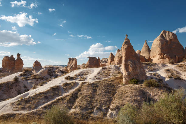 istock Famous stone mushrooms. Cappadocia 1145002469
