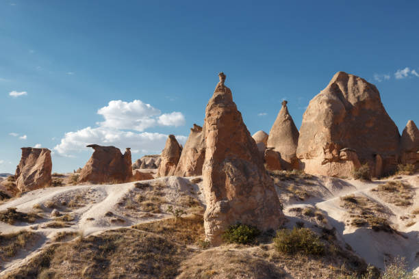 istock Famous stone mushrooms. Cappadocia 1145002504