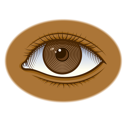 A brown eye in an engraved line style