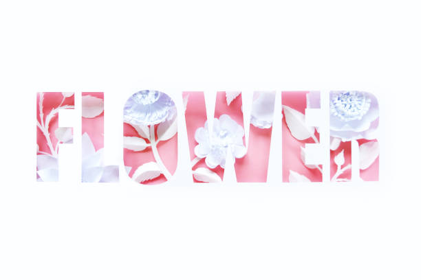 istock Lettering flower with white different paper flowers 1145002864