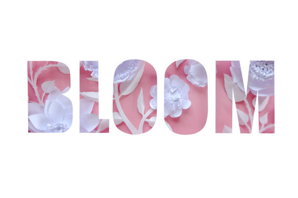 istock Lettering bloom with white different paper flowers 1145002866