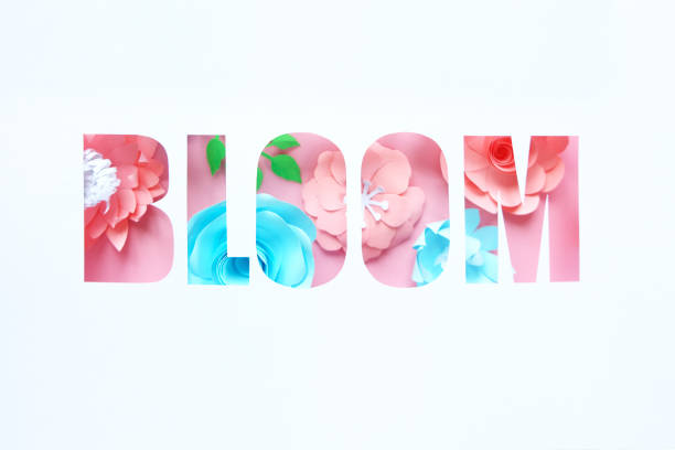 istock Lettering bloom with white different paper flowers 1145002882