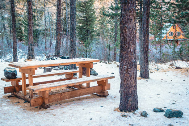 istock Wooden bench and table in forest. Camping in winter forest 1145004409