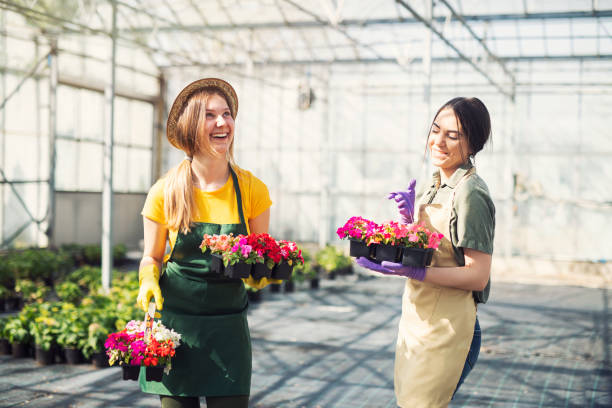 istock Women workers having fun in greenhouse. 1145004520