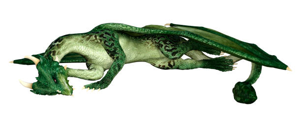 istock 3D illustration fantasy dragon on white 1145008138