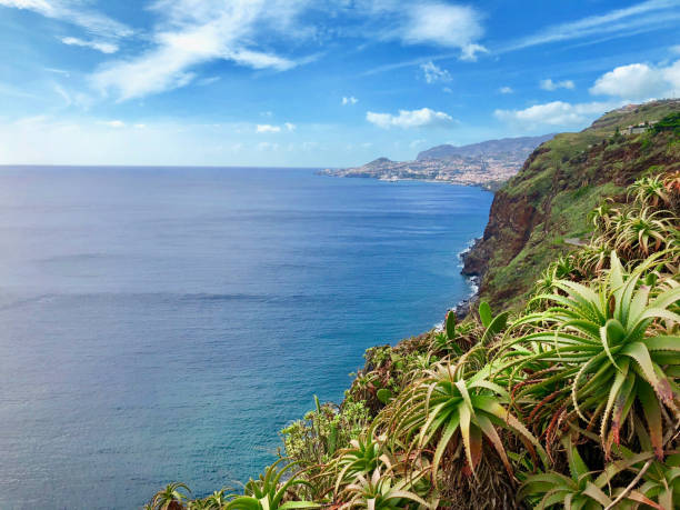 istock Beautiful landscape of Madeira 1145008372