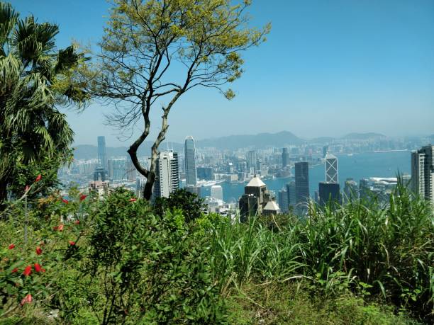 istock Hong Kong skyscrapers views from Victoria Peak 1145011854