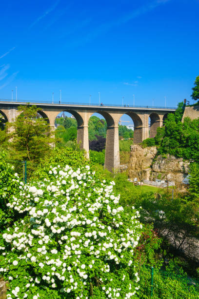 istock Old Bridge - Passerelle Bridge Or Luxembourg Viaduct In Luxembourg 1145016230