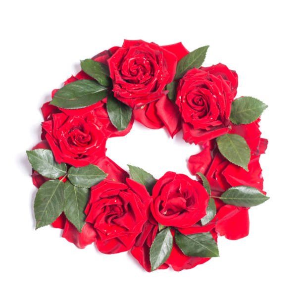 istock Circle wreath of red roses on a white background 1145016406