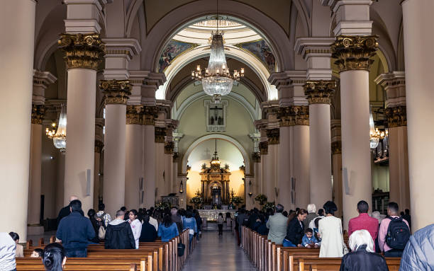 wnętrze katedry bazyliki metropolitalnej niepokalanego poczęcia maryi - view from altar zdjęcia i obrazy z banku zdjęć