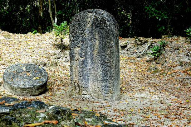 istock Guatemala Tikal National Park 1145019043