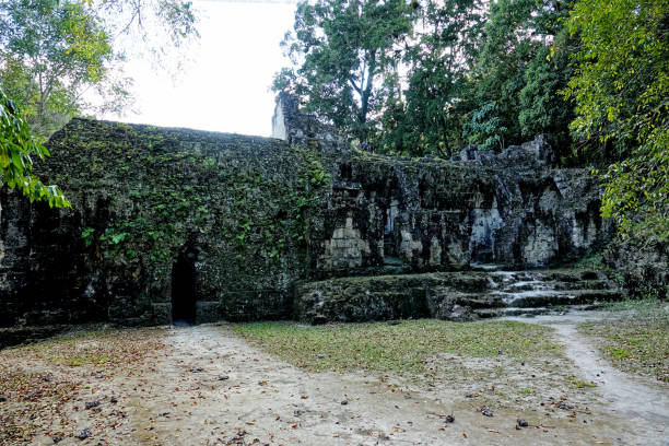 istock Guatemala Tikal National Park 1145019074