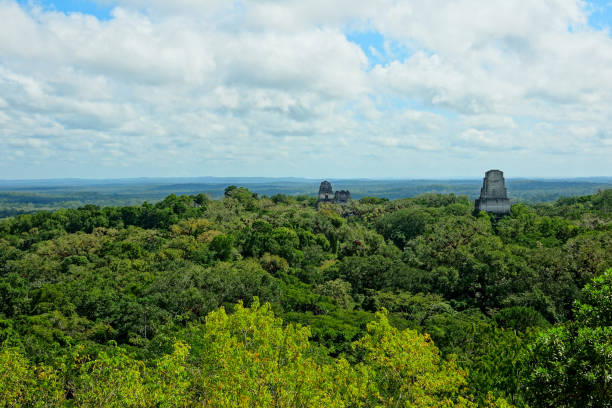 istock Guatemala Tikal National Park 1145019517