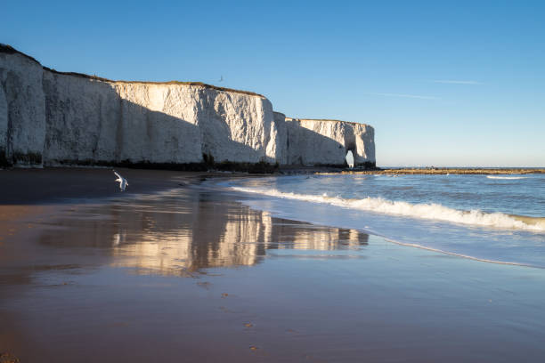 Cliffside walk and reflections, Botany Bay, Kent Seagulls flying over the beach and cliffs in Botany Bay, Kent, with reflections of the on the sand ramsgate stock pictures, royalty-free photos & images