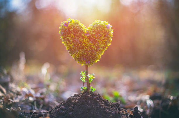 Little Heart Shaped tree. Earth day concept